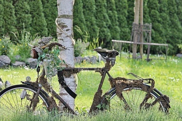 garden clutter
