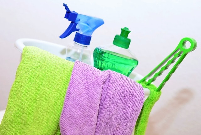 cleaning prevents fleas without pets