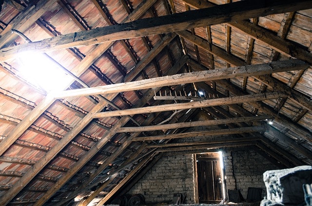 signs of rats in loft image