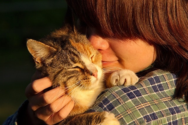 children and pets