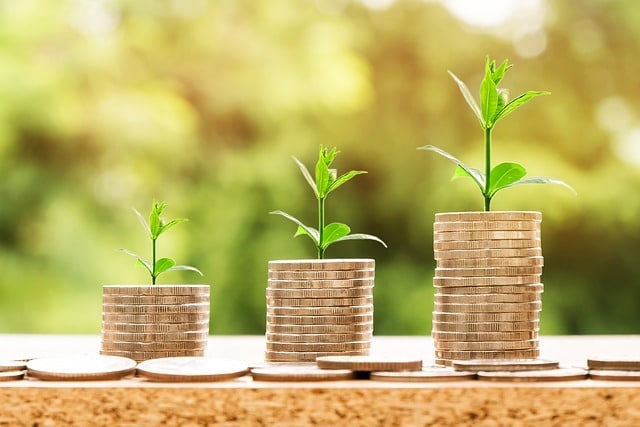 pest control contracts are cost effective