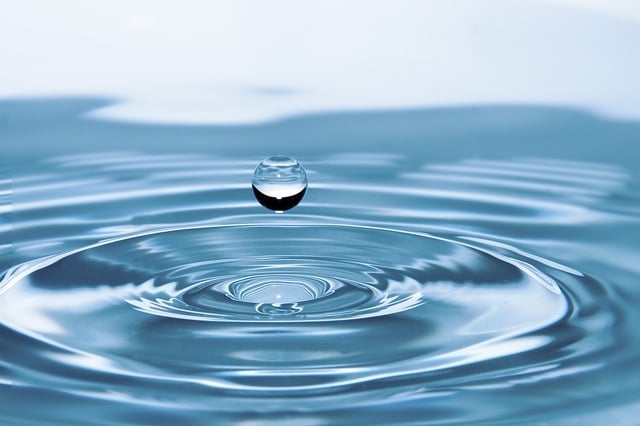 ants like water drips