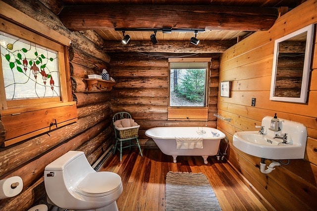 damp bathrooms attract silverfish