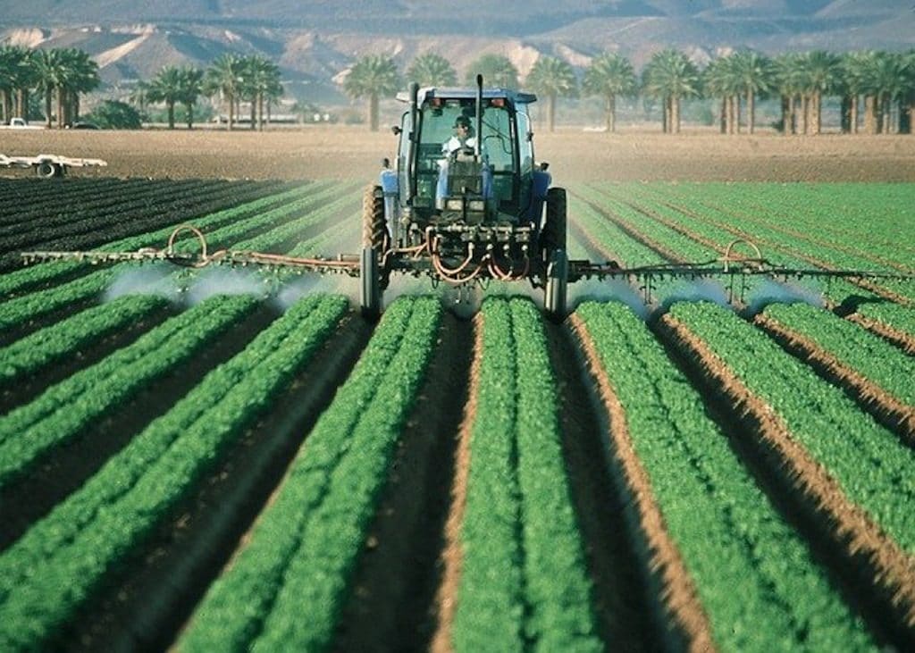 pesticides sprayed on field