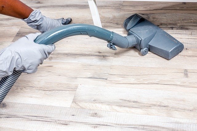 pest control methods like hoovering