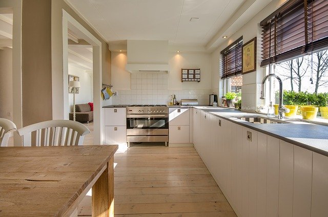 pest prevention in the kitchen