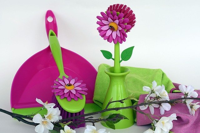 spring cleaning prevents insects