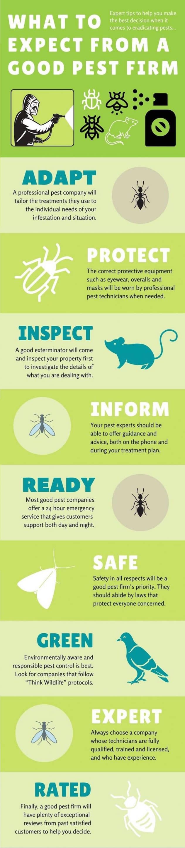 good pest firm infographic website