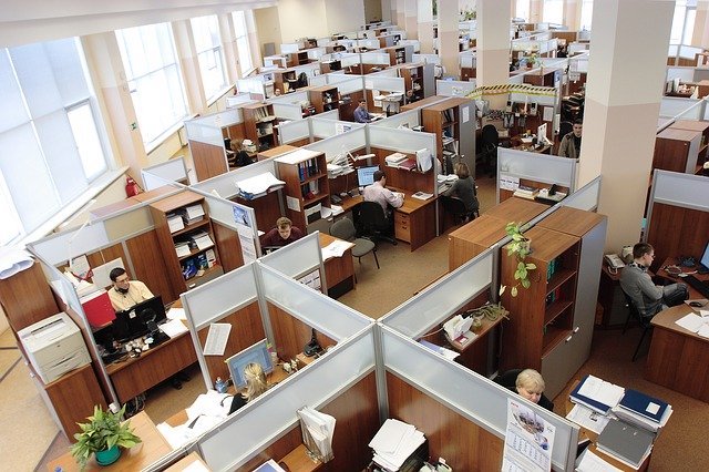 empty office with mice