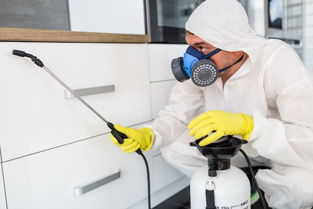 covid safe pest exterminator