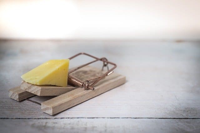 london mouse trap