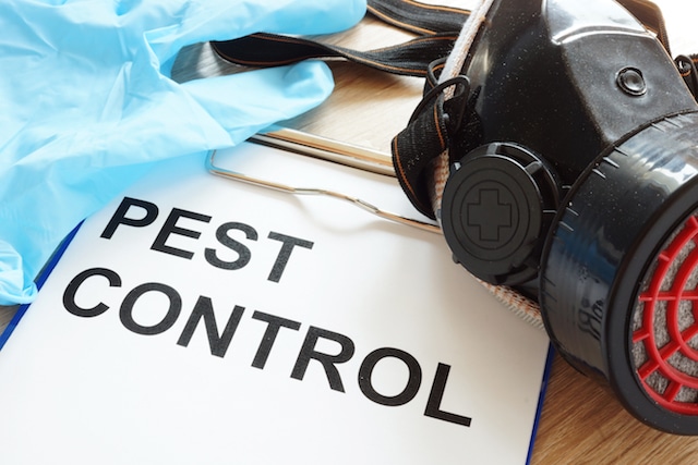 pest control and pets