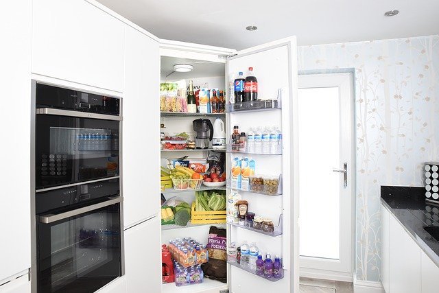 pest proof fridge