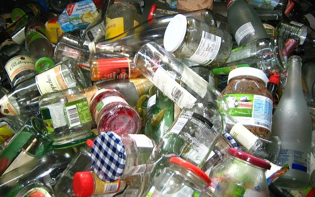 common pests on rubbish