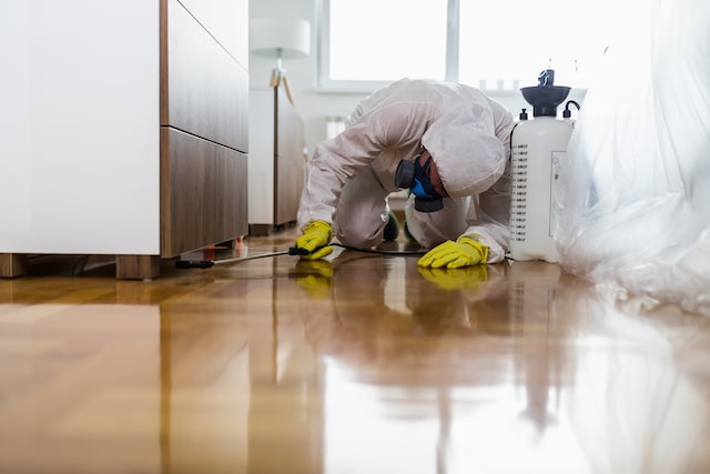 inspection in london home