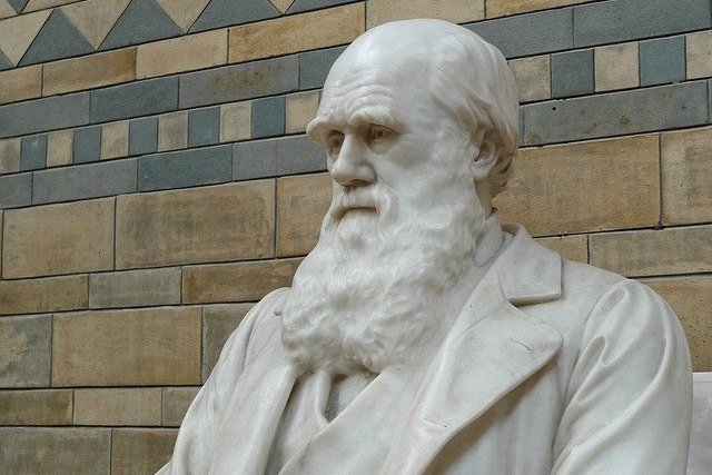 charles darvin evolution