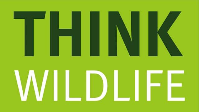 think wildlife