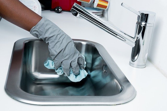 cleaning to prevent ants