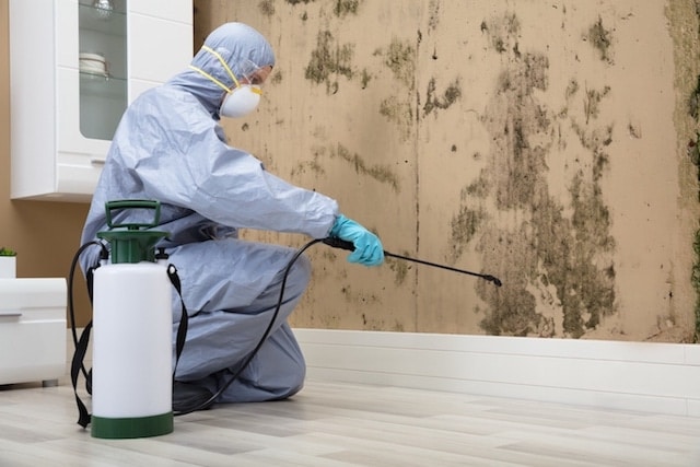 pet safe indoor pest control