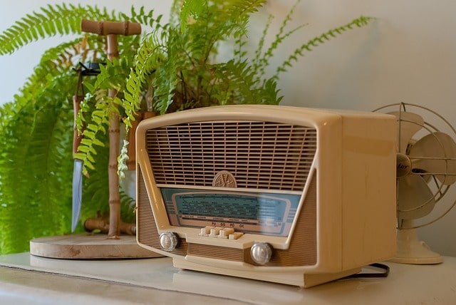 radio fox deterrent