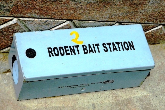 bait station
