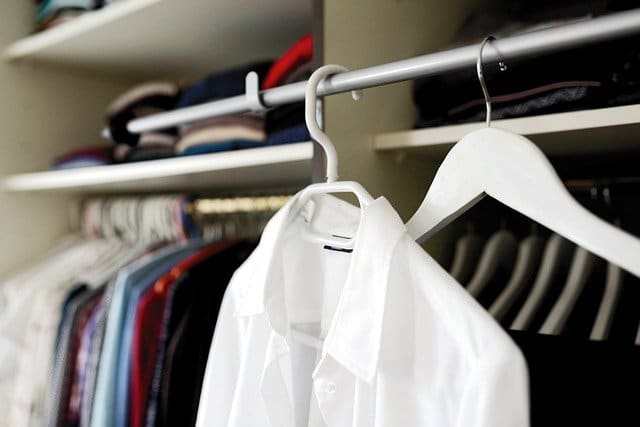 moth types on clothing.jpg