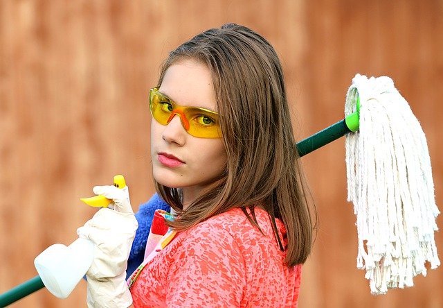 clean your london home for pest control
