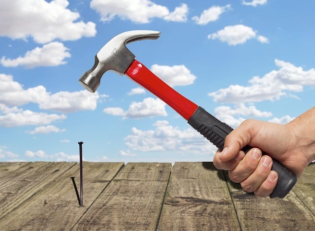 pest busting tasks