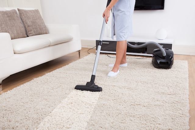 cleaning for pest control