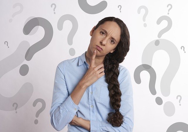 questions for pest inspector