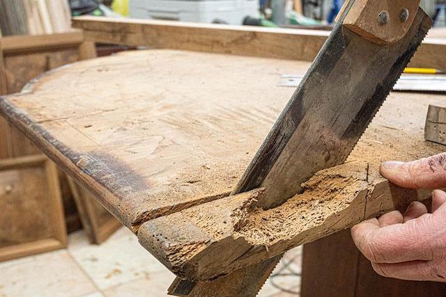symptoms of woodworm