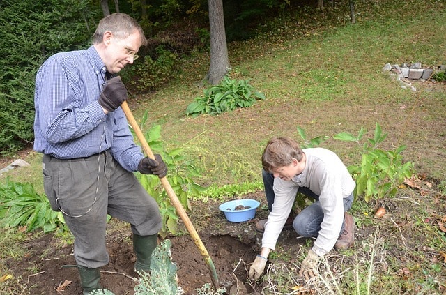 digging in the garden
