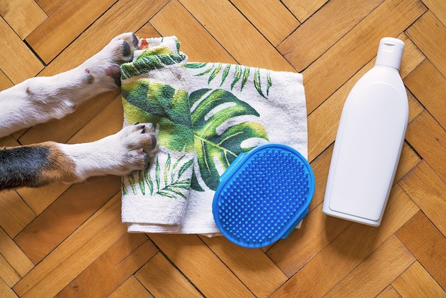 flea treatments