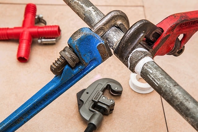 home renovation pest control