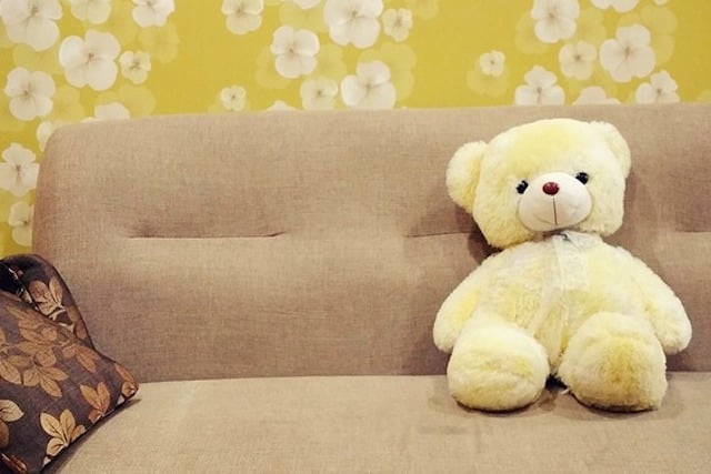 bed bugs infest toys