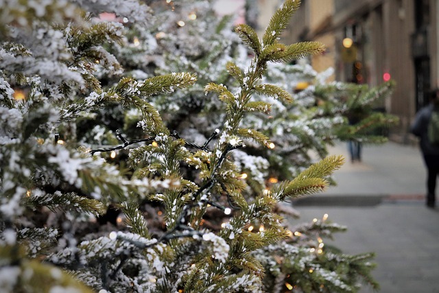 christmas tree