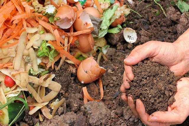 compost in london garden