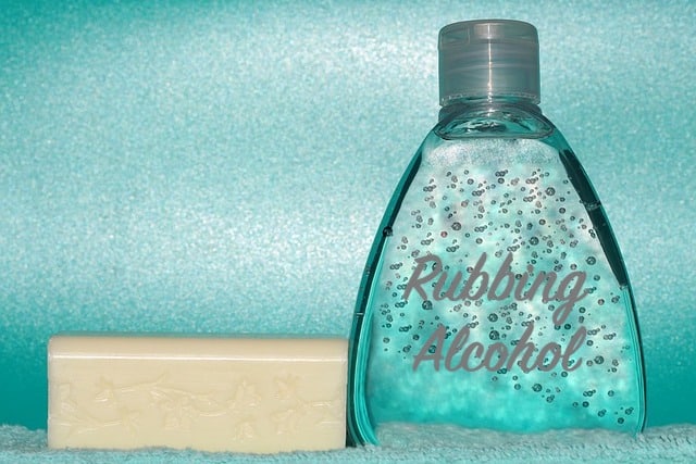 rubbing alcohol to kill bed bugs