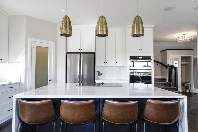 pests in modern kitchen