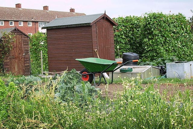 london garden shed