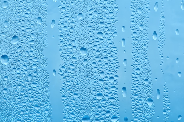 damp window in london home