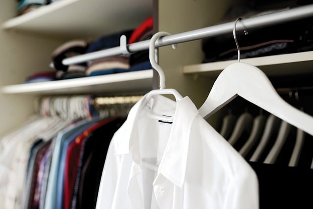 kill moth eggs on clothes