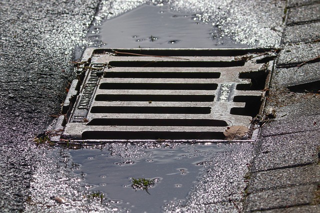 flooding cased by pests