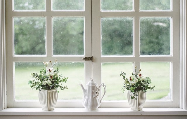 windows attract mice