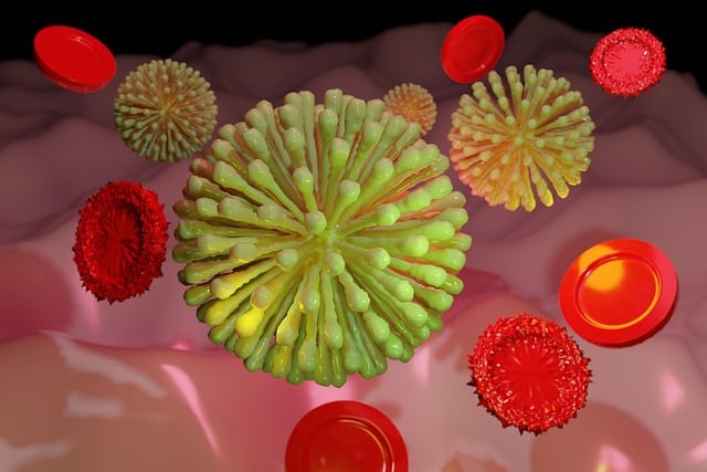 bacteria contamination from pests